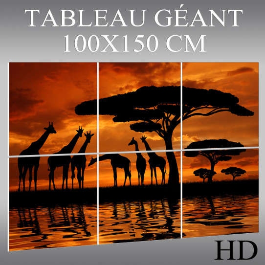 Le forex en afrique